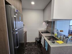 Avenue South Residence (D3), Apartment #466992341